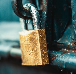 pexels-nicholas-githiri-1068349