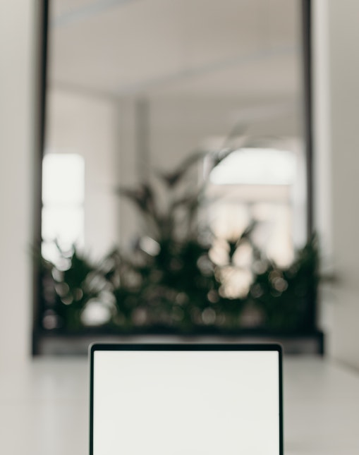 pexels-cottonbro-4065617